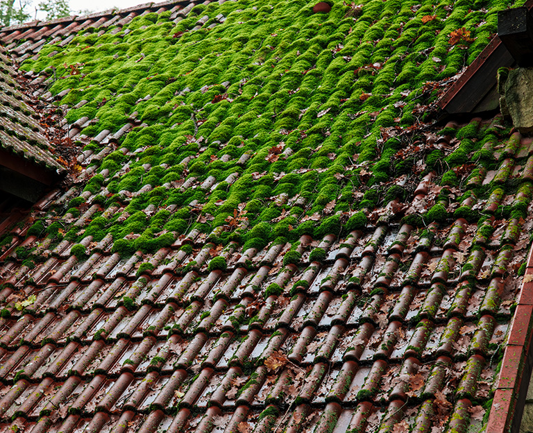 Détail de zinguerie traditionnelle